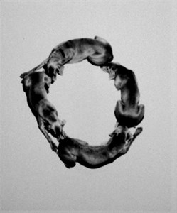 Image description is not available for 2001.029